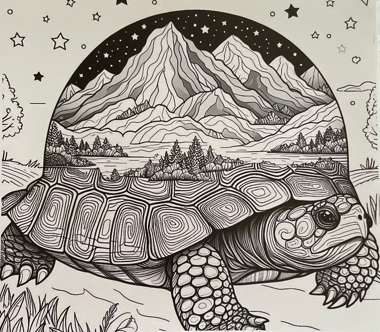 BW Mountain Turtle 30 Ounce