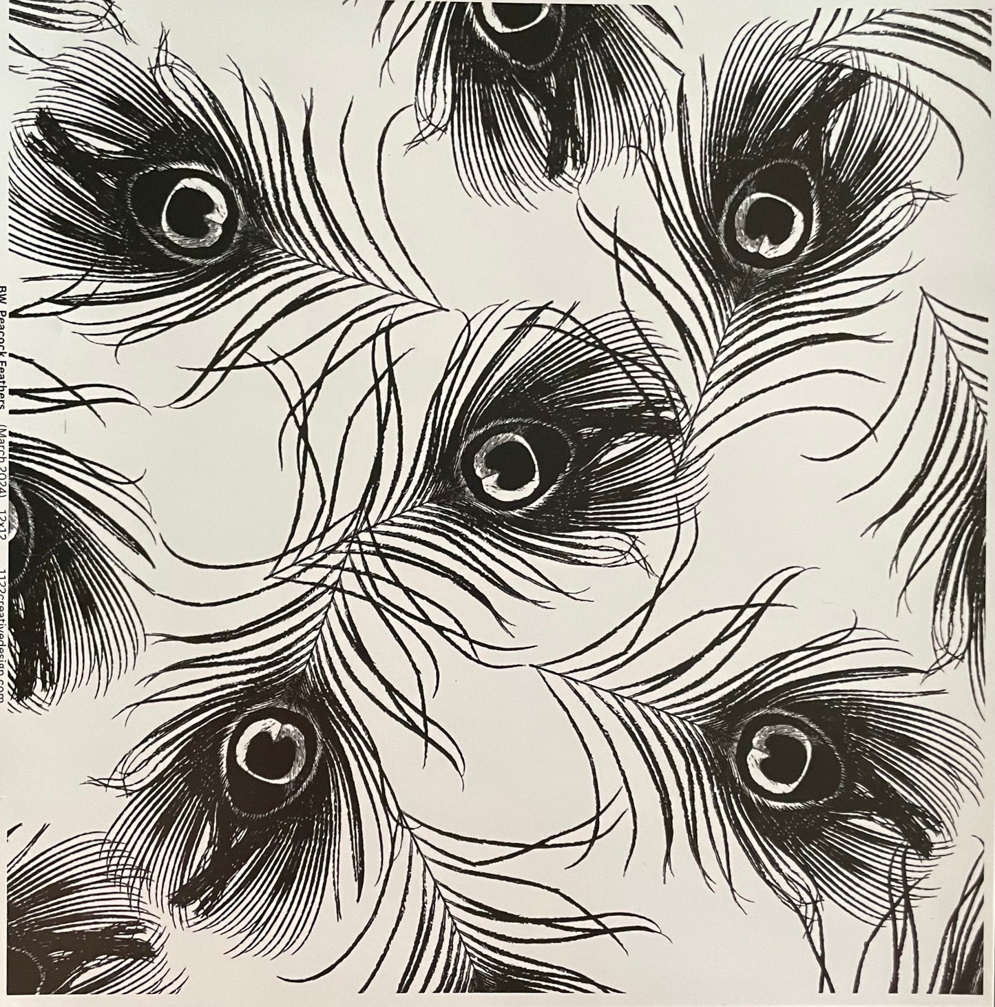 Black White Peacock Feather 35 Ounce. Accents only!