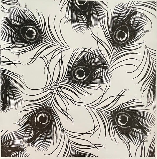 Black White Peacock Feather 35 Ounce. Accents only!