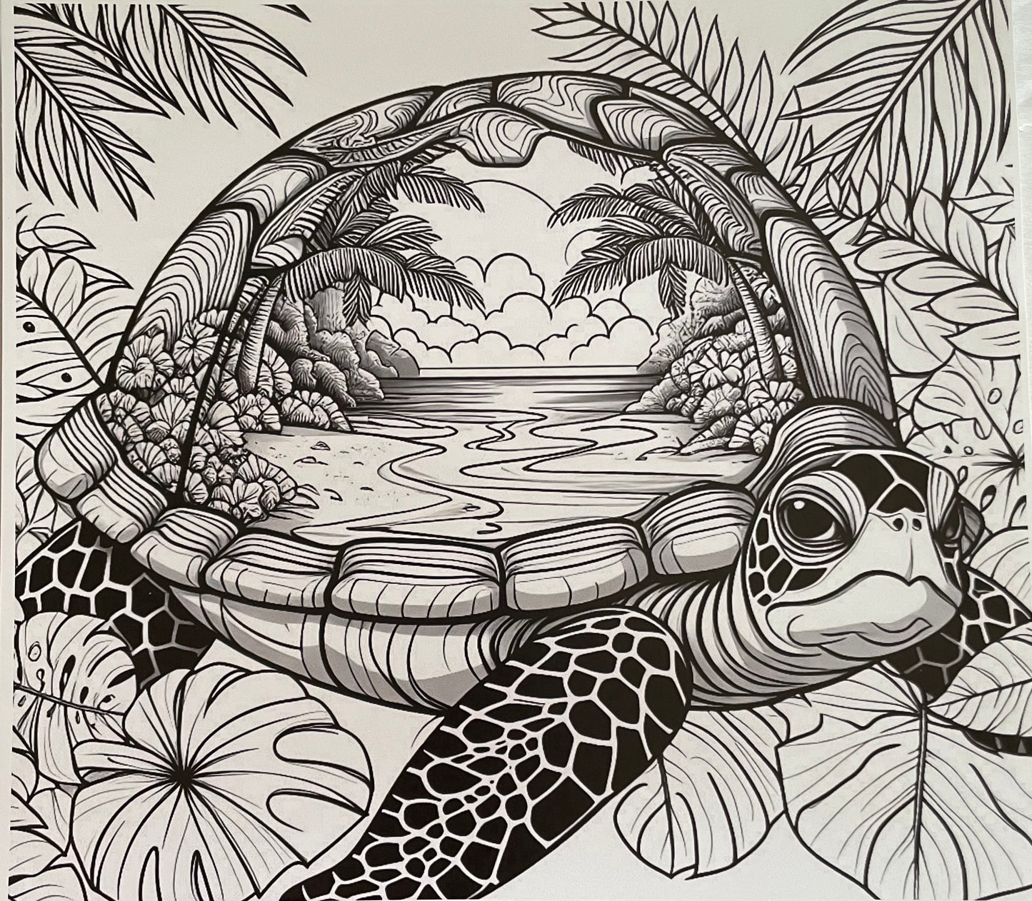 BW Beach Turtle 30 Ounce