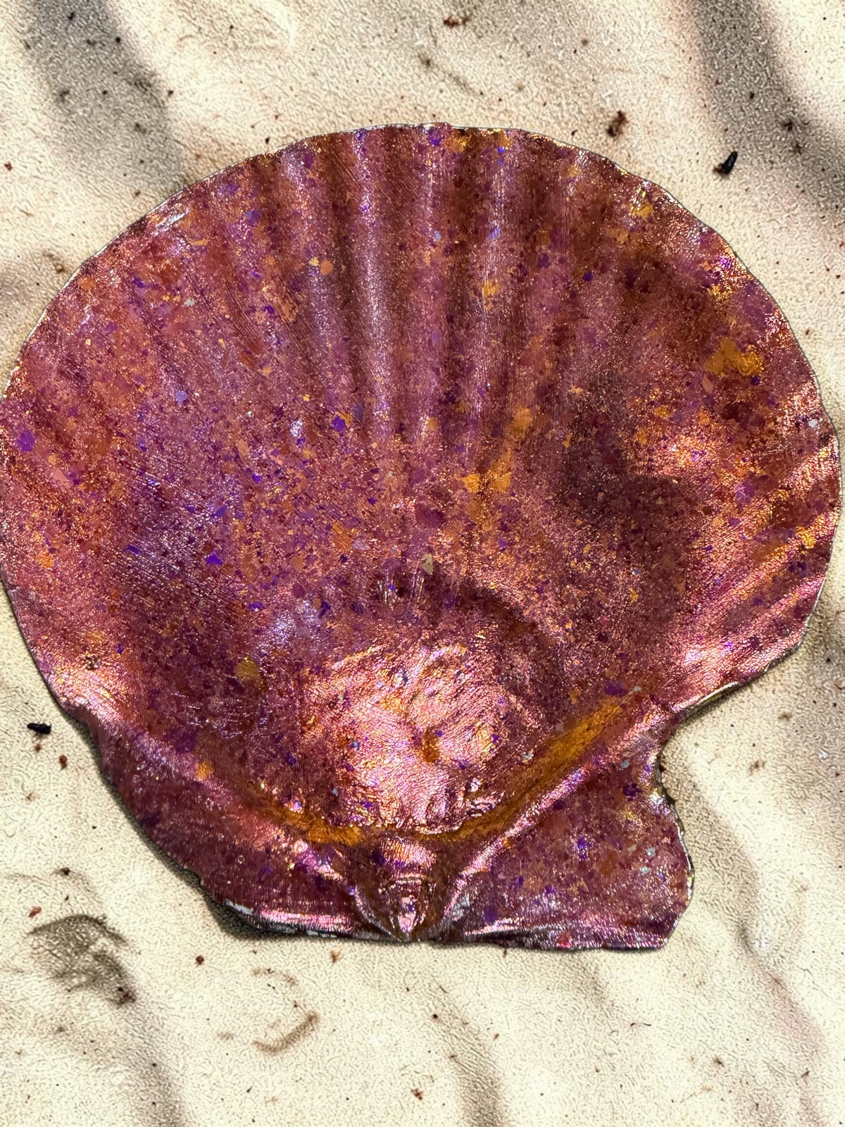 Decorative Shells