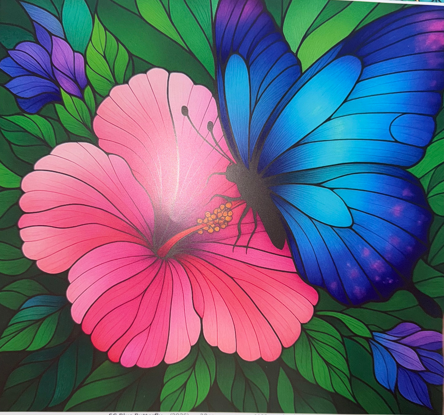 SG Blue Butterfly and Flower 30 Ounce