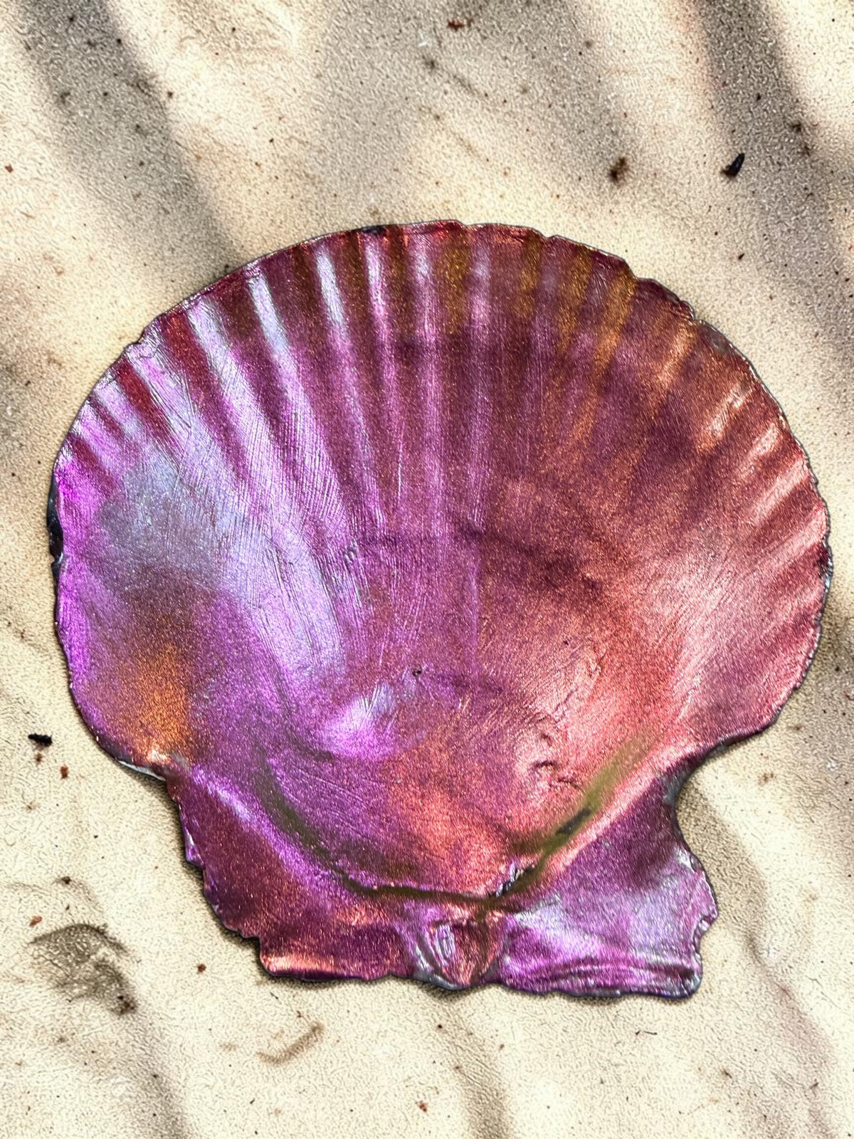 Decorative Shells